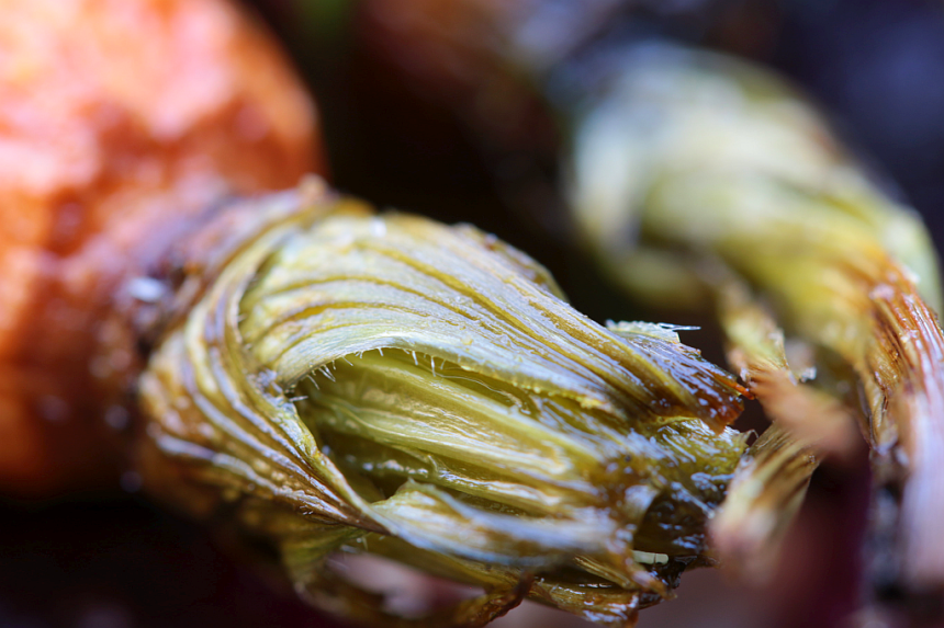 carrots and beets3 resized